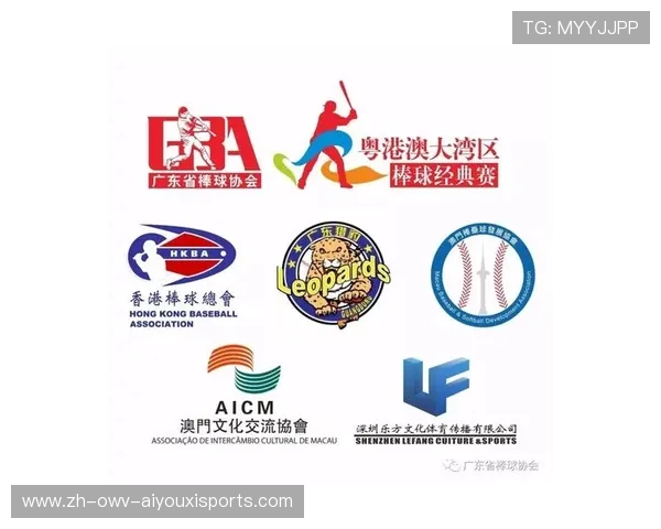 高效棒球训练营的设计与运营策略